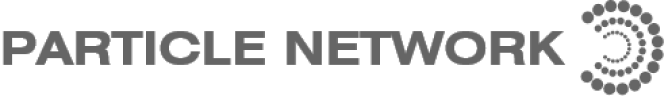 Particle Network