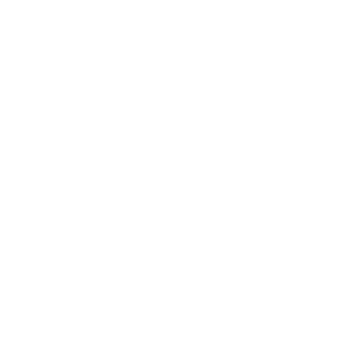Partner 31